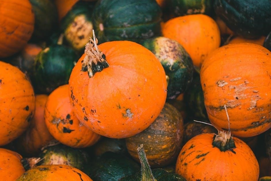 pumpkin pattern pdf