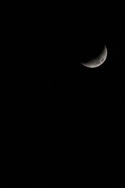 oreo moon phases worksheet pdf