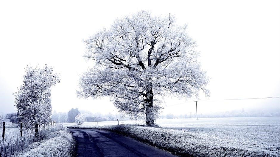 the oak tree poem pdf